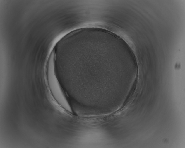 X0000094440960200711211453