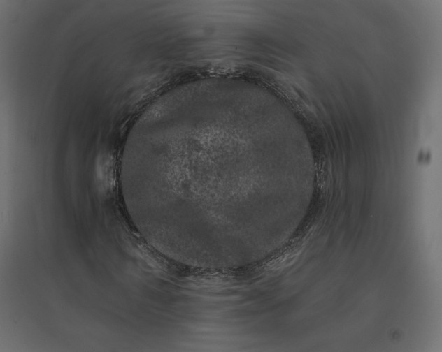 X0000094440962200711211452