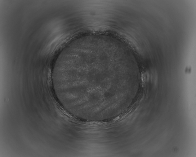 X0000094440963200711211452