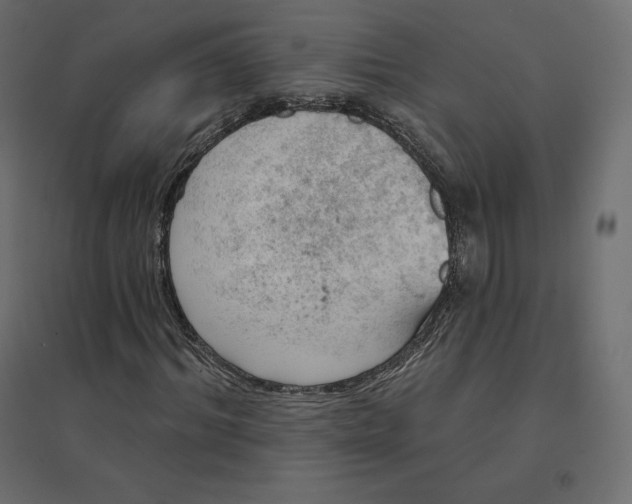 X0000094440964200711211452