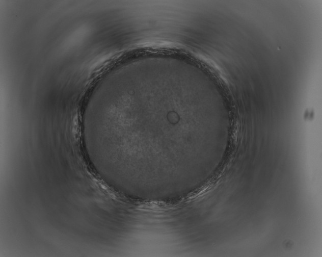 X0000094440966200711211452