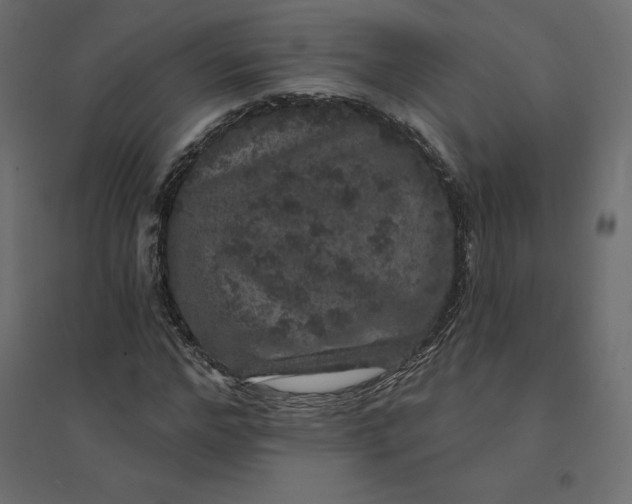 X0000094440968200711211452