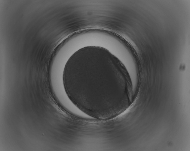 X0000094440969200711211452