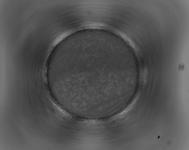 X0000094440970200711211452