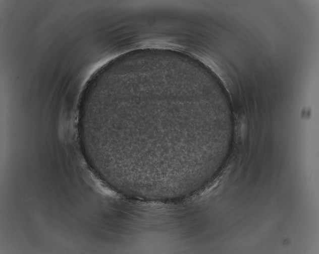 X0000094440971200711211452