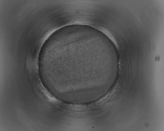 X0000094440972200711211452