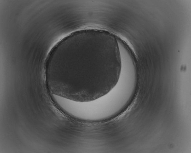 X0000094440973200711211452