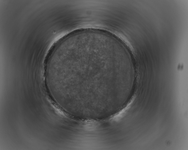 X0000094440974200711211452