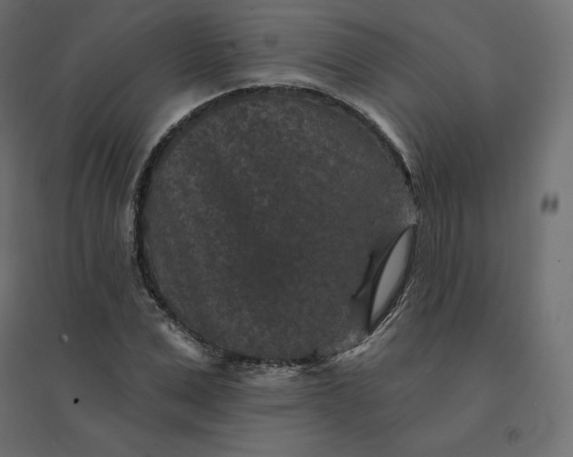 X0000094440975200711211452