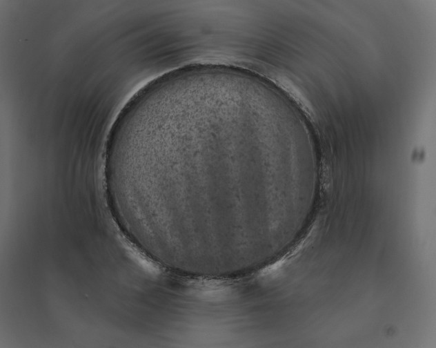 X0000094440976200711211452