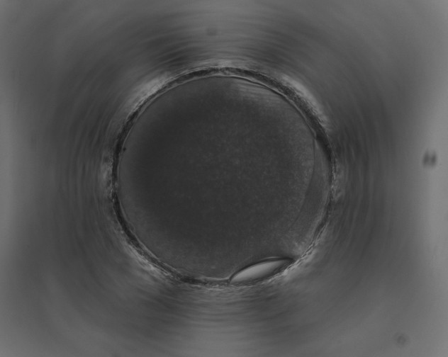 X0000094440977200711211452