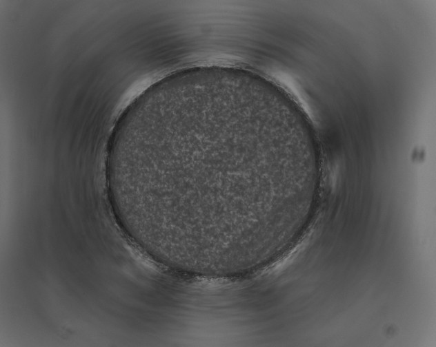 X0000094440978200711211452