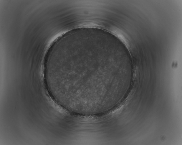 X0000094440979200711211452