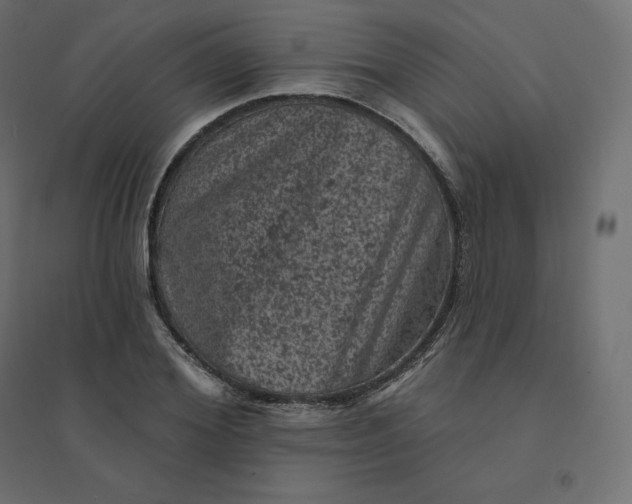 X0000094440980200711211452