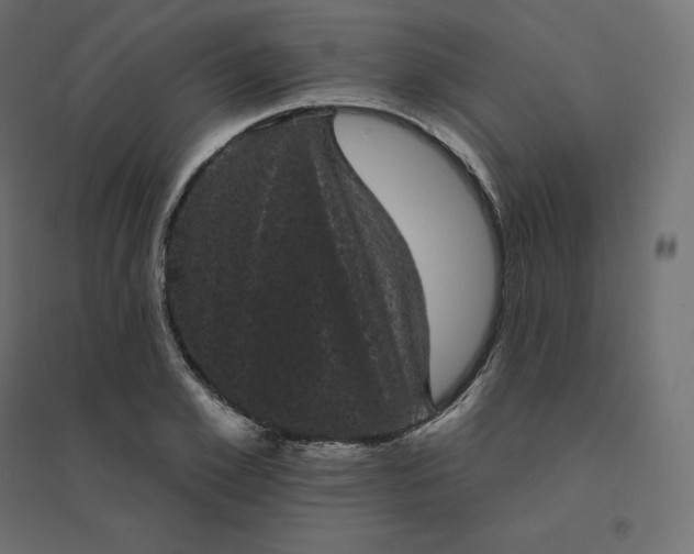 X0000094440981200711211452