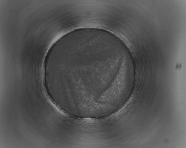 X0000094440982200711211452