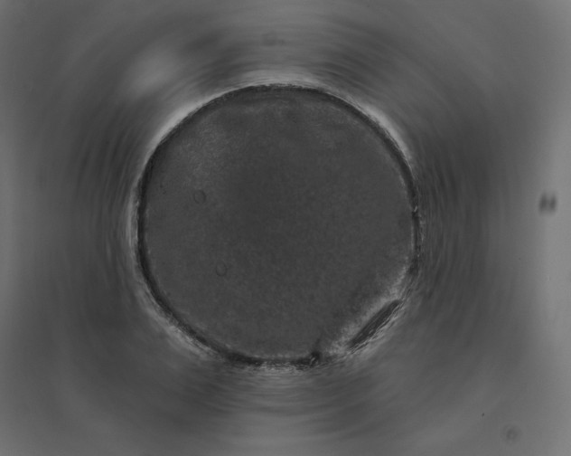 X0000094440983200711211452