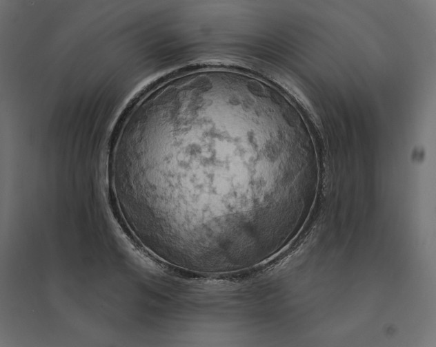 X0000094440984200711211452