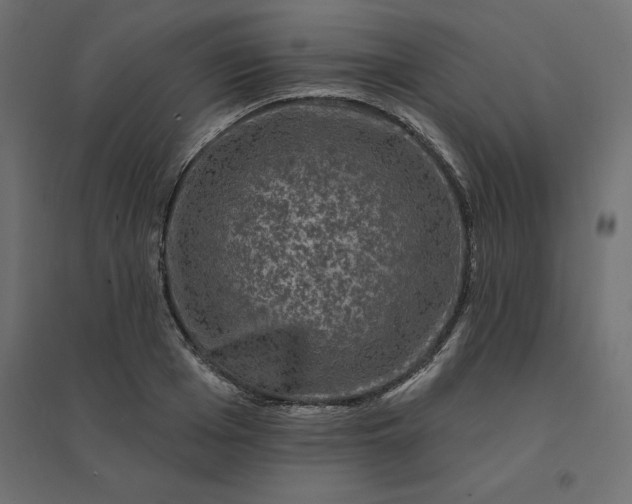 X0000094440985200711211452