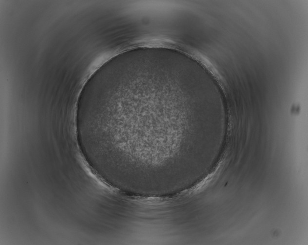 X0000094440986200711211452