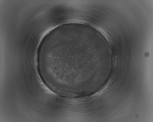 X0000094440987200711211452