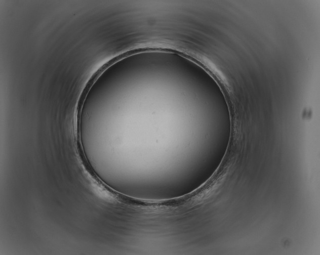 X0000094440988200711211452