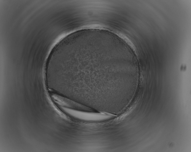 X0000094440989200711211452