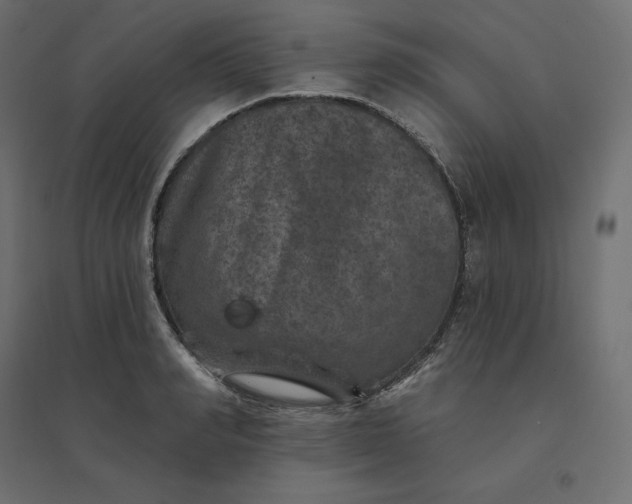 X0000094440990200711211452