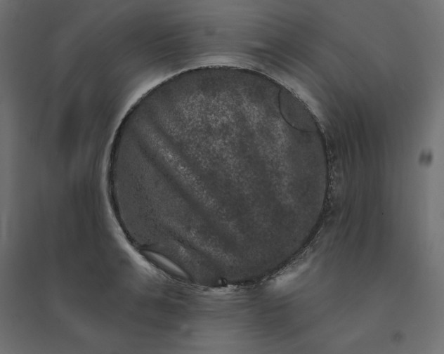 X0000094440991200711211452