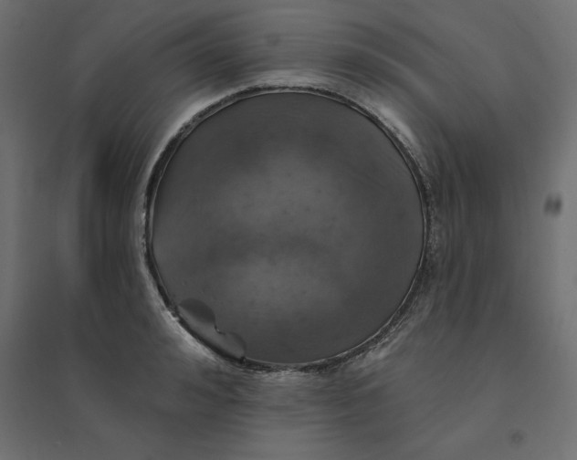 X0000094440992200711211452