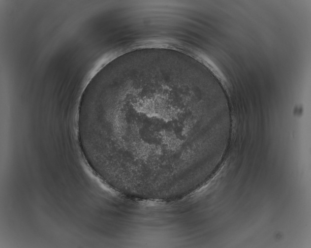 X0000094440994200711211452