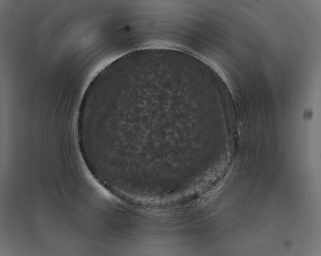 X0000094440995200711211452