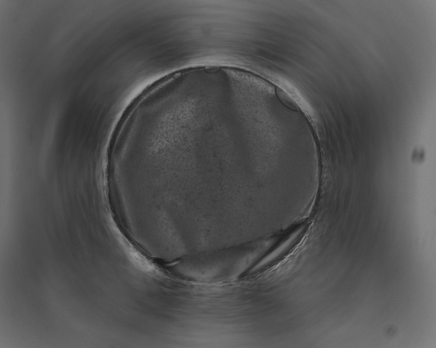 X0000094440996200711211452