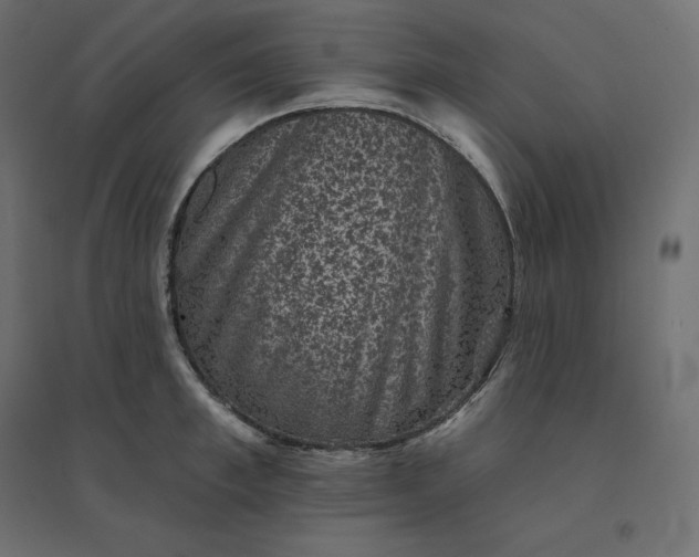 X0000094440997200711211452