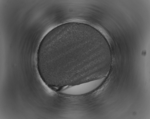 X0000094440999200711211452