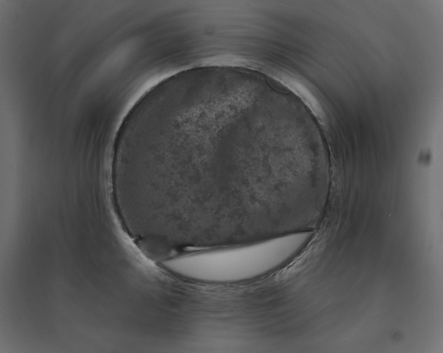 X0000094441000200711211452