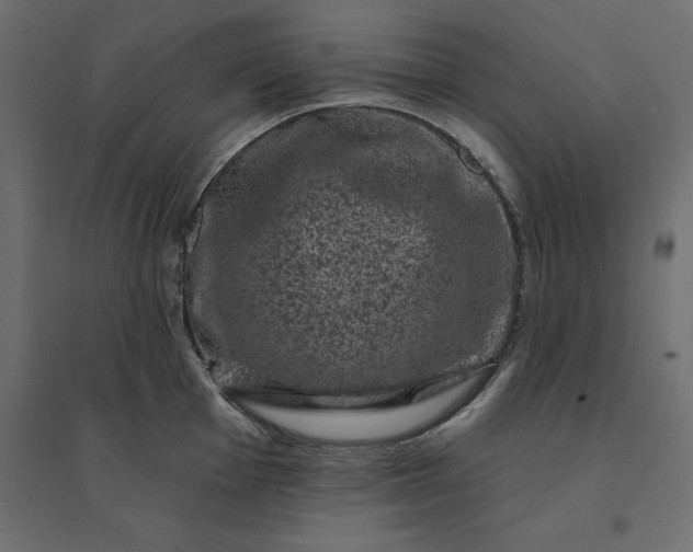 X0000094441001200711211452