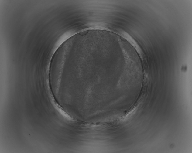 X0000094441002200711211452