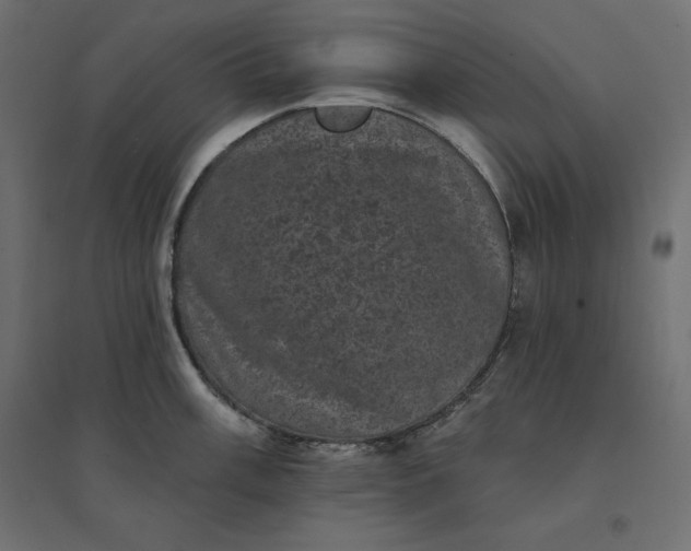 X0000094441003200711211452