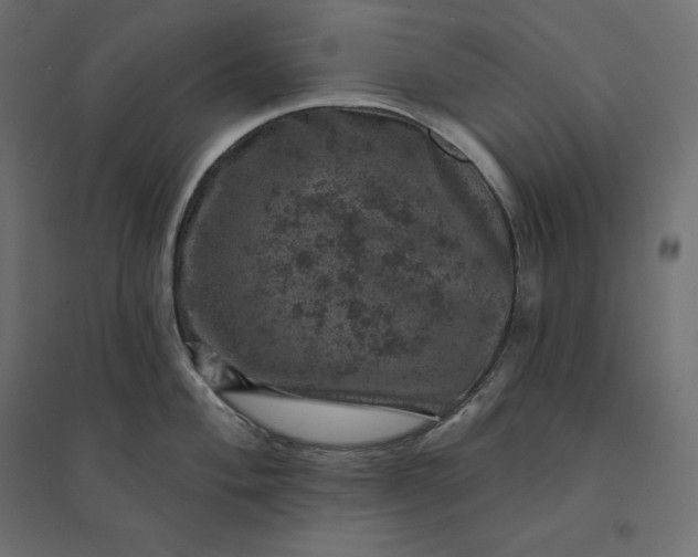 X0000094441004200711211451