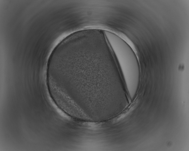 X0000094441005200711211451