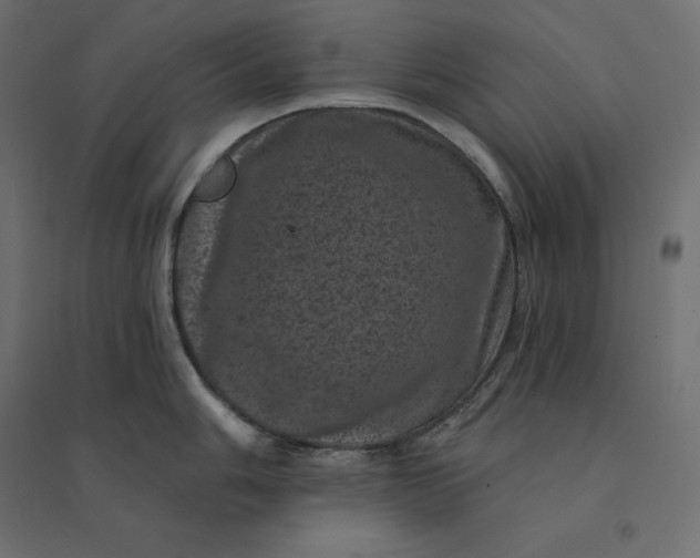 X0000094441006200711211451