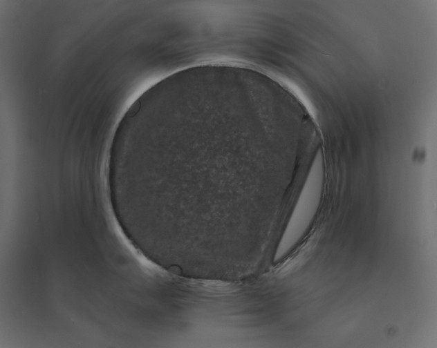 X0000094441007200711211451