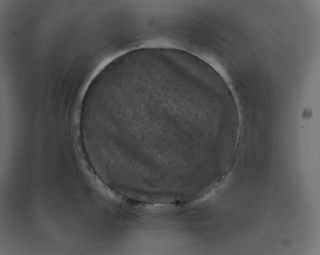 X0000094441008200711211451