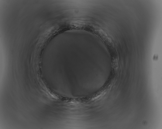 X0000094441009200711211451