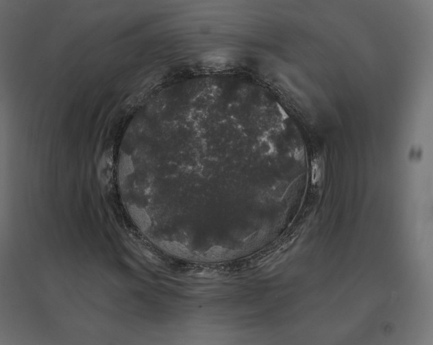 X0000094441011200711211451