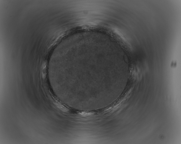 X0000094441012200711211451