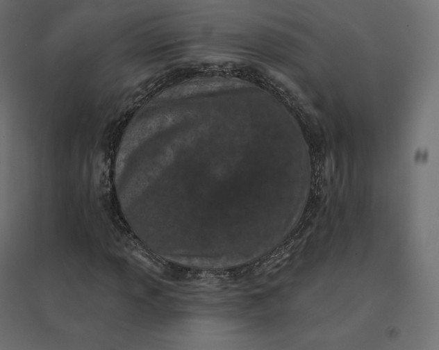 X0000094441013200711211451