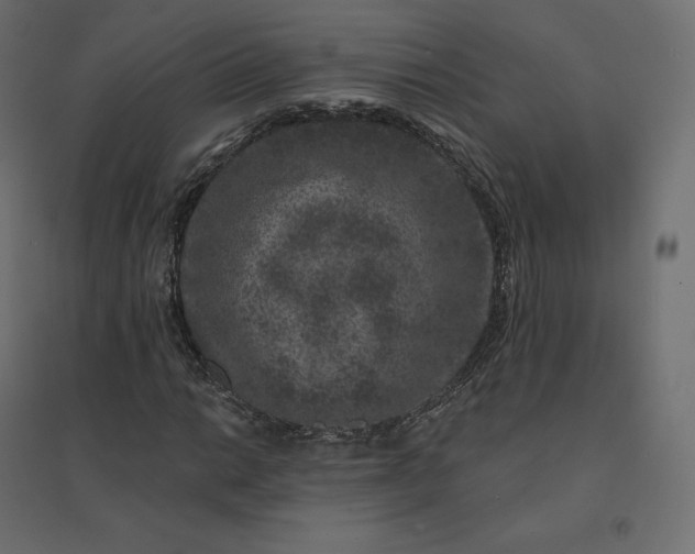 X0000094441014200711211451