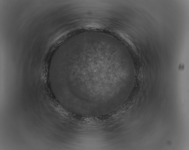 X0000094441015200711211451